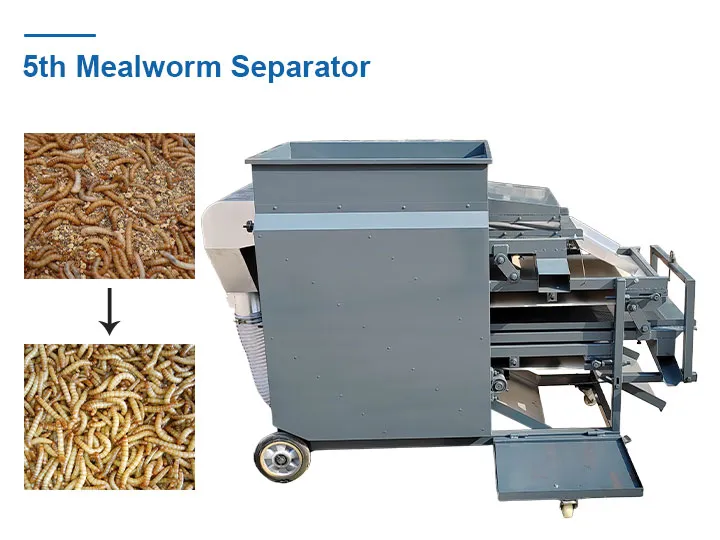 5. Mehlwurm-Sortierer