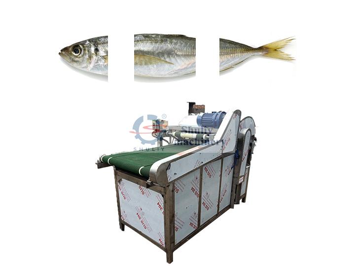 commercial fish head and tail cutting machine