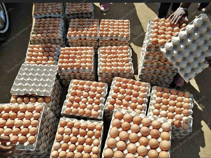 egg trays application