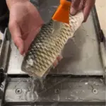 gehäutetes Fischfleisch