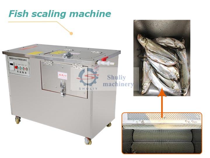 fish scaling machine