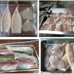 fish skinning effect