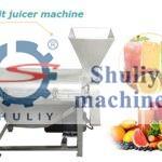 fruit juicer machine