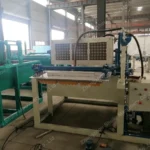 fruit tray making machine for sale