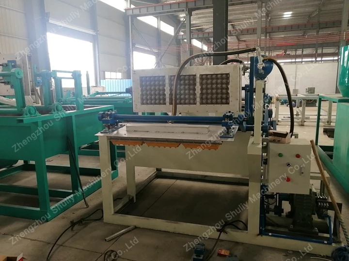 fruit tray making machine for sale