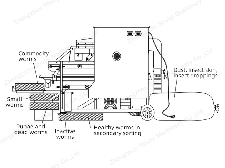 функции сито для личинок мучного жука