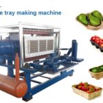 máquina de fabrico de tabuleiros de fruta em papel