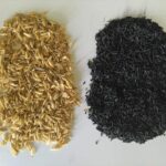 charbon de bois de balle de riz