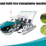 trasplantadora de arroz