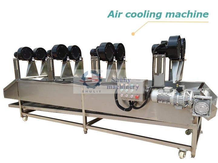 Automatic food air dryer