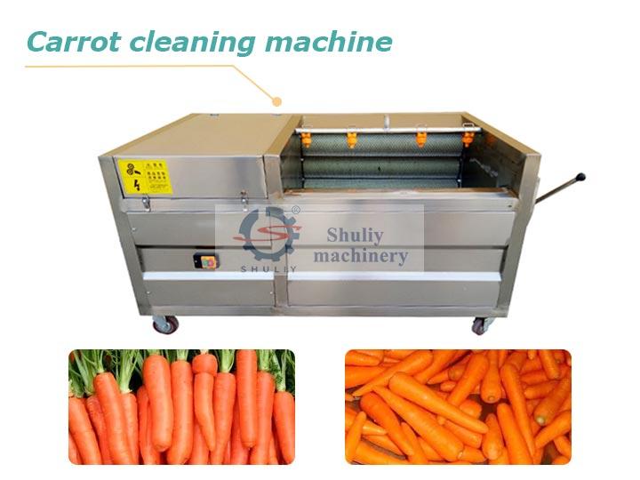 Carrot washing cleaning machine