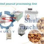 coated peanut processing line