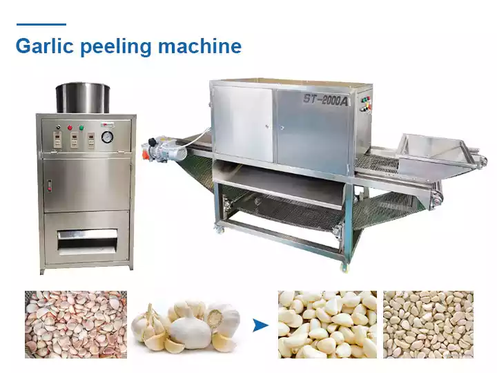 Mesin pengupas bawang putih