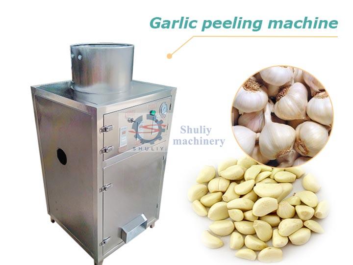 Garlic peeler machine