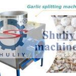 garlic splitting machine