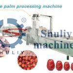 máquina industrial de processamento de tamareira