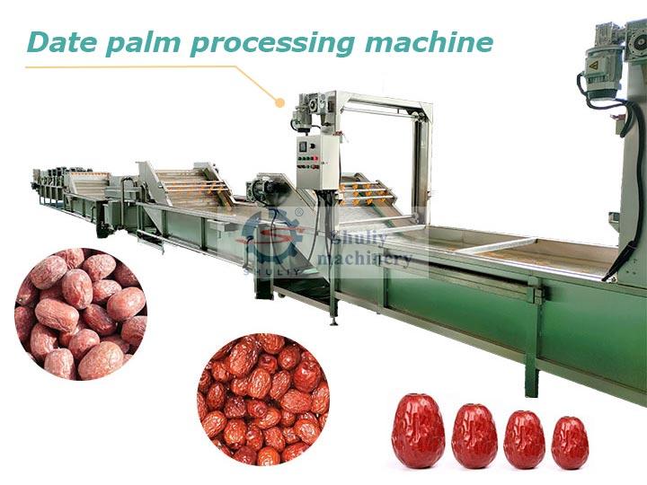 Date palm processing machine line