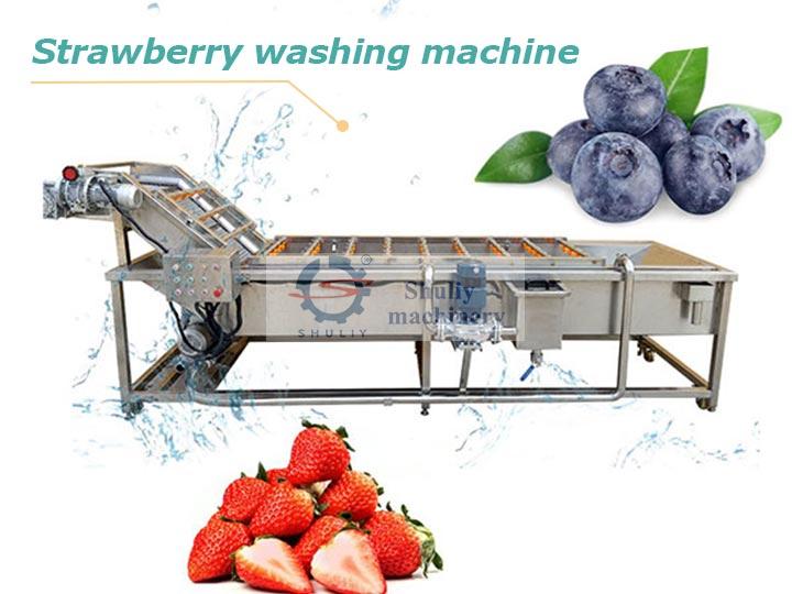Strawberry blueberry washing machine
