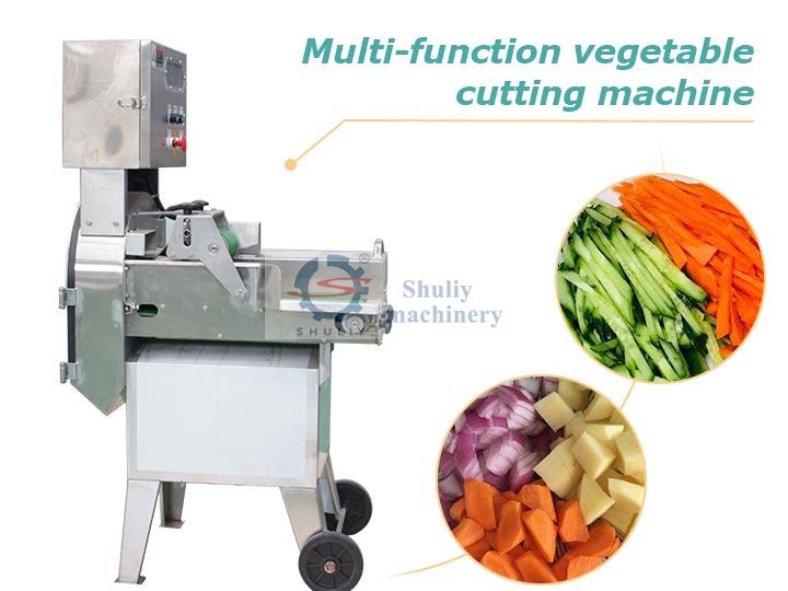 Multi-function vegetable cutting machine