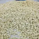 皮むき済みニンニク