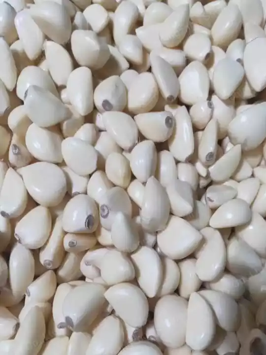 皮むきされたニンニクの房