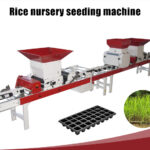 sembradora de arroz en vivero