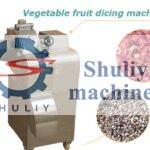 vegetable dicing machine