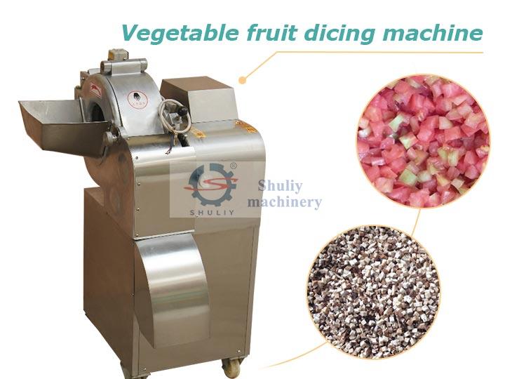Vegetable and fruit dicing machine