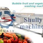 vegetable fruit washing machine