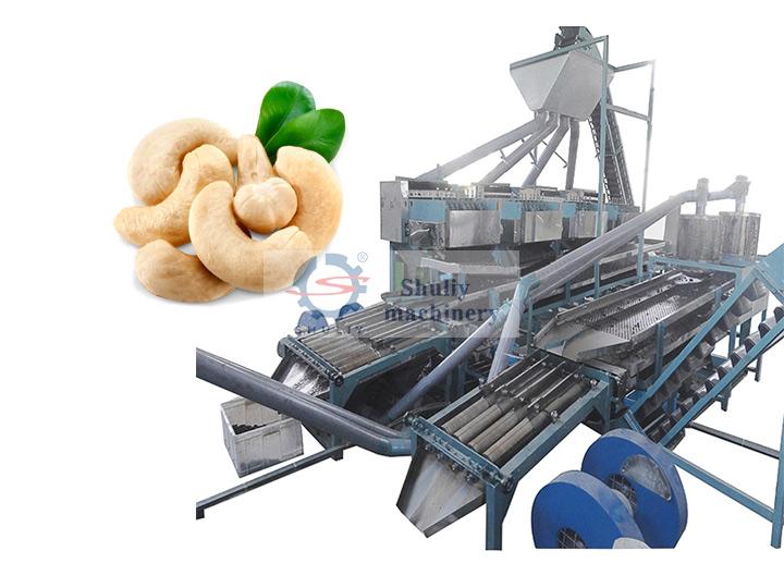 automatic-cashew-nut-processing-plant