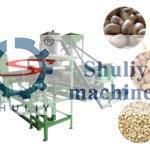 fully auromatic cashew processing plant