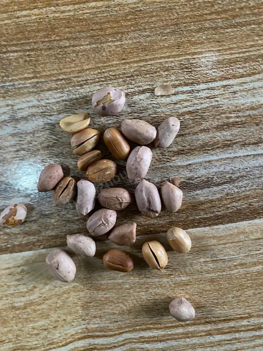 فول سوداني في غانا