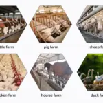 manure cleaning machine applications