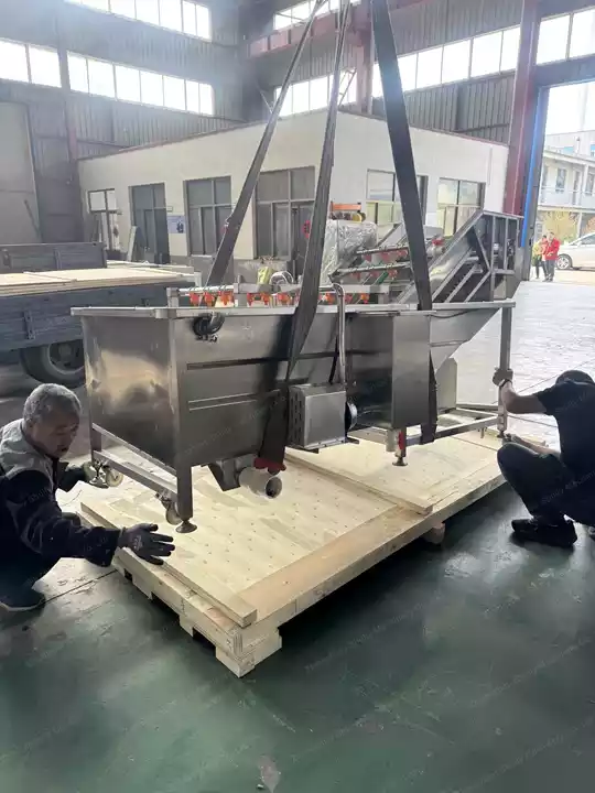 lettuce washing machine for Canada